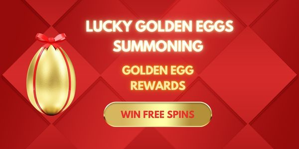 Live Casino Experience